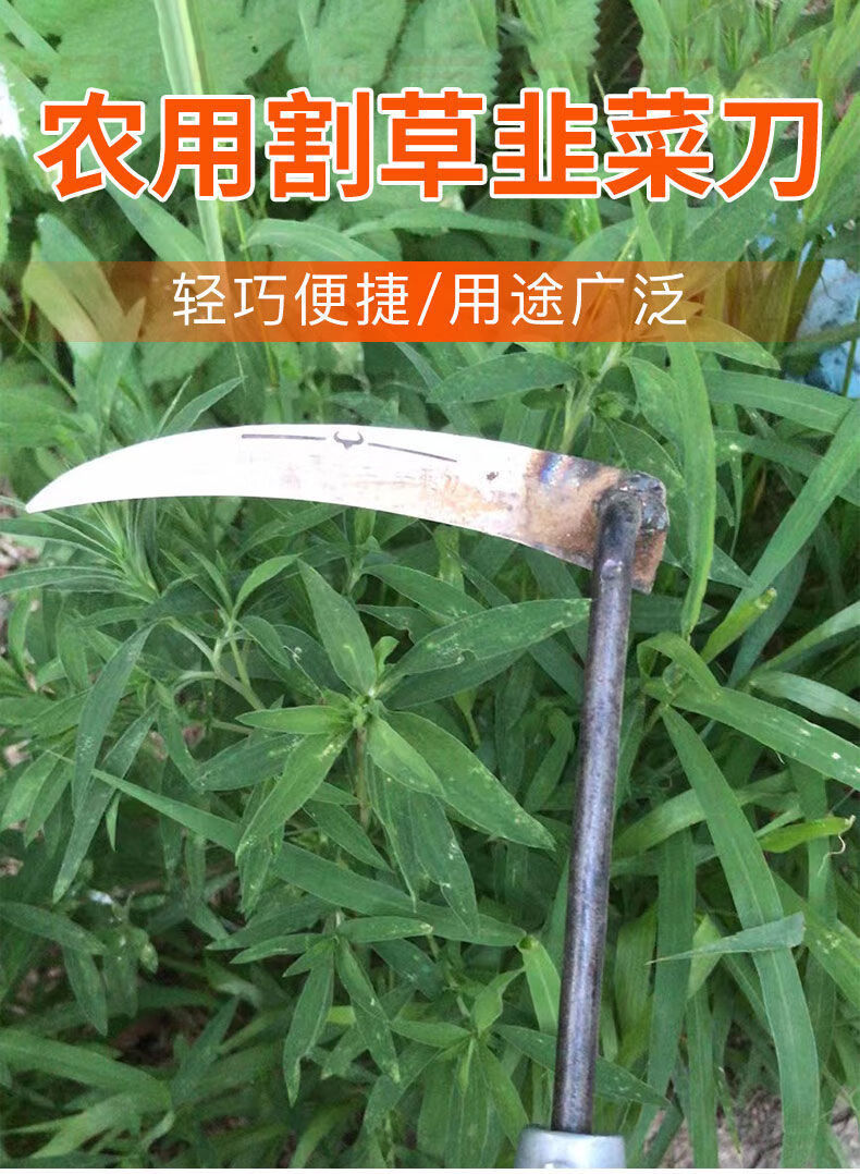 农用韭菜专用小镰刀家用进口钢小号割刀大棚蔬菜锋利刀割草除草刀