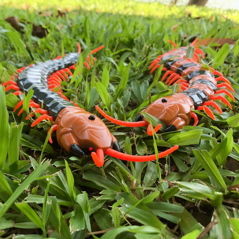 抖音同款遥控蜈蚣玩具仿真动物爬行电动蛇充电整蛊儿童新奇逗男孩遥控