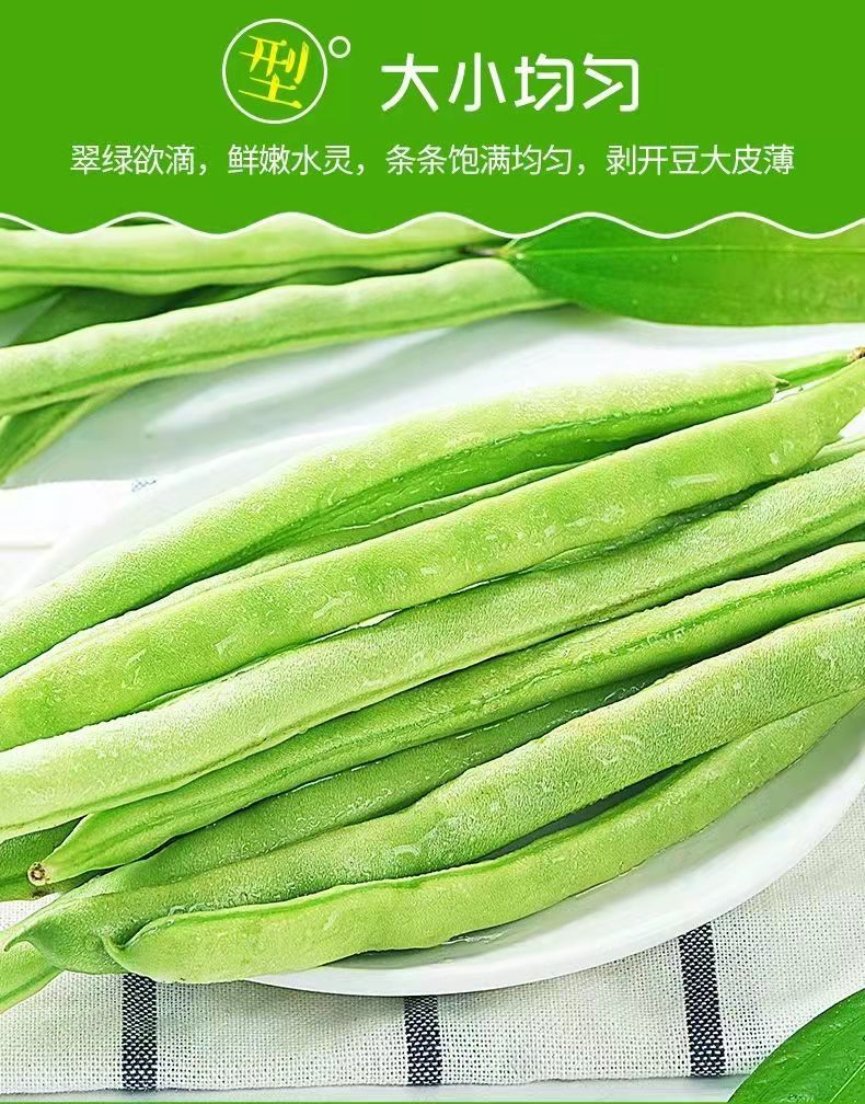 豆角新鲜应季蔬菜批发嫩无筋豆刀豆芸豆扁豆新鲜四季豆现摘现发清香