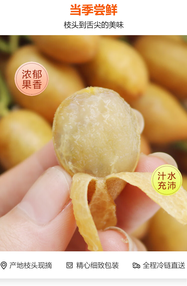 黄皮果果酸甜水果当季广东籽黄皮果黄弹子 精3斤装鸡心礼盒定制款 精3