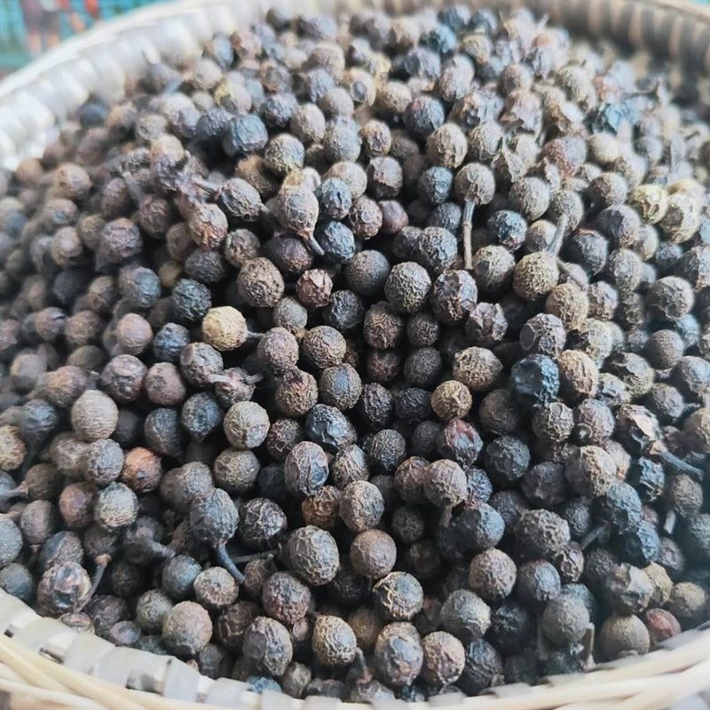 食用全干木姜子贵州特产山胡椒酸汤火锅底料干山苍子无提炼 250g半斤