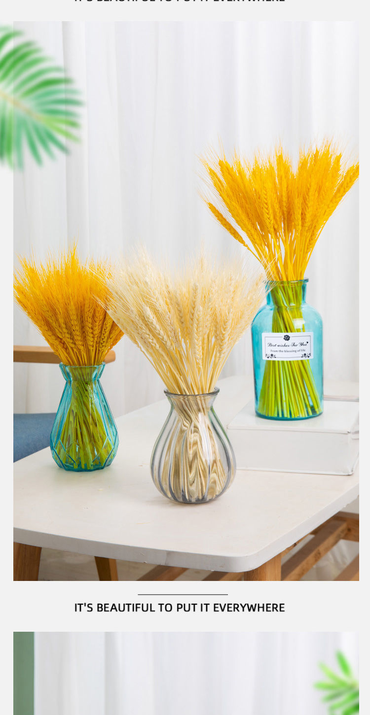 彩虹鸟天然大麦穗干花北欧花瓶家居摆件真花风束开业庆典装饰干插花