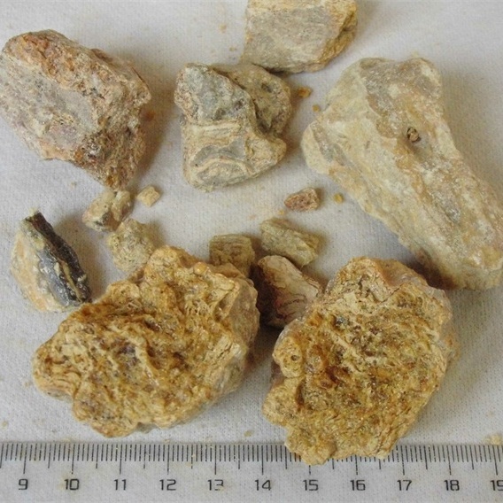 有仁堂中药材 琥珀 虎魄 野生琥珀块 红琥珀 光珀 普通琥珀块500g