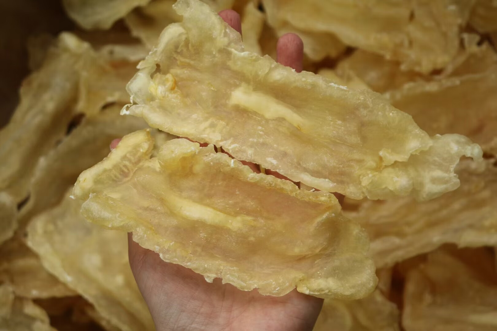 250g鳕鱼胶花胶干货深海炖奶煲汤料孕妇营养滋补囤货 【250克】约99个