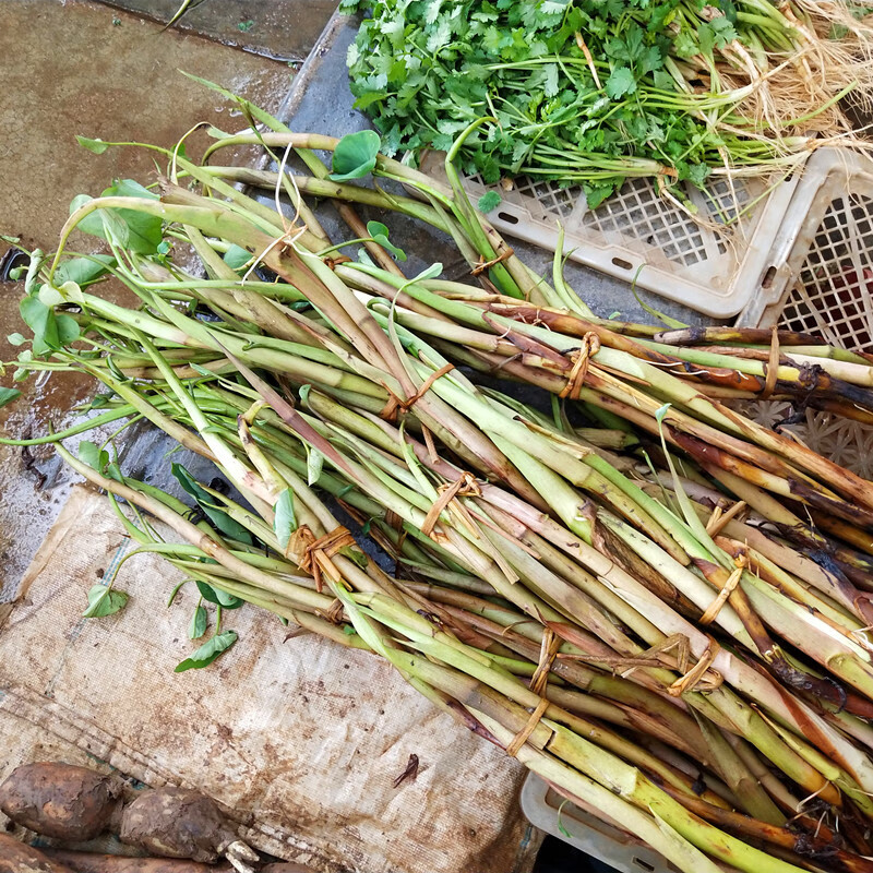 云南芋头芽芋头茎芋苗花芋茎秆2斤特产红杆芋头花新鲜蔬菜 500g【图片