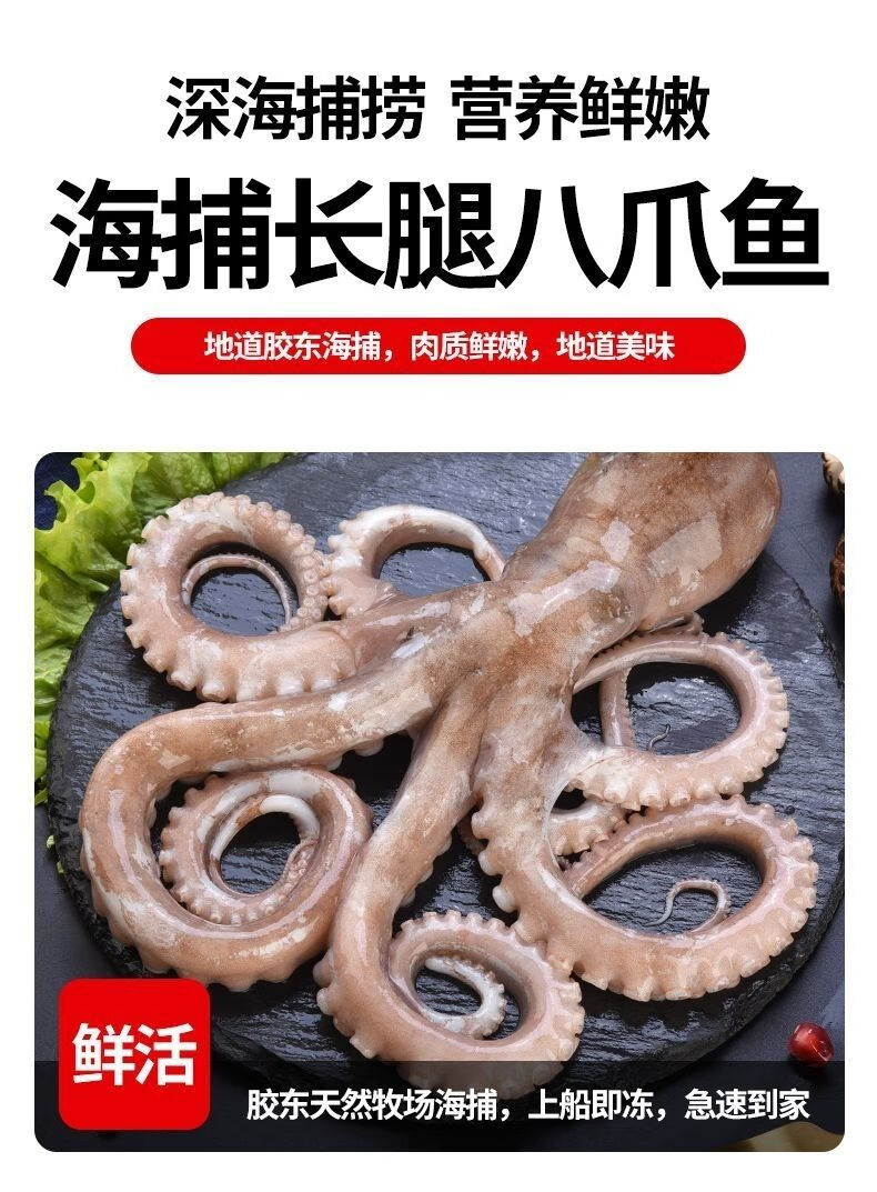 八爪鱼海鲜鲜活水产活冻长腿短腿迷你网红爆头八带鱼中短腿八爪鱼三斤