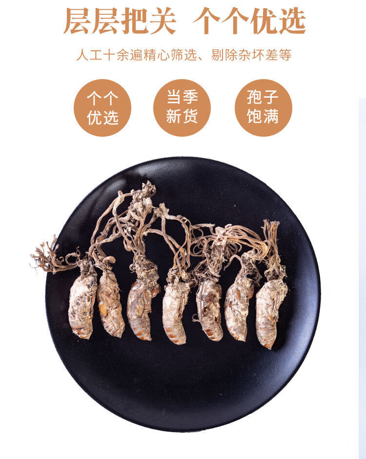 金蝉花500g野生蝉花虫草粉泡酒正宗知了花新货金蟾花蝉花精选金蝉花30