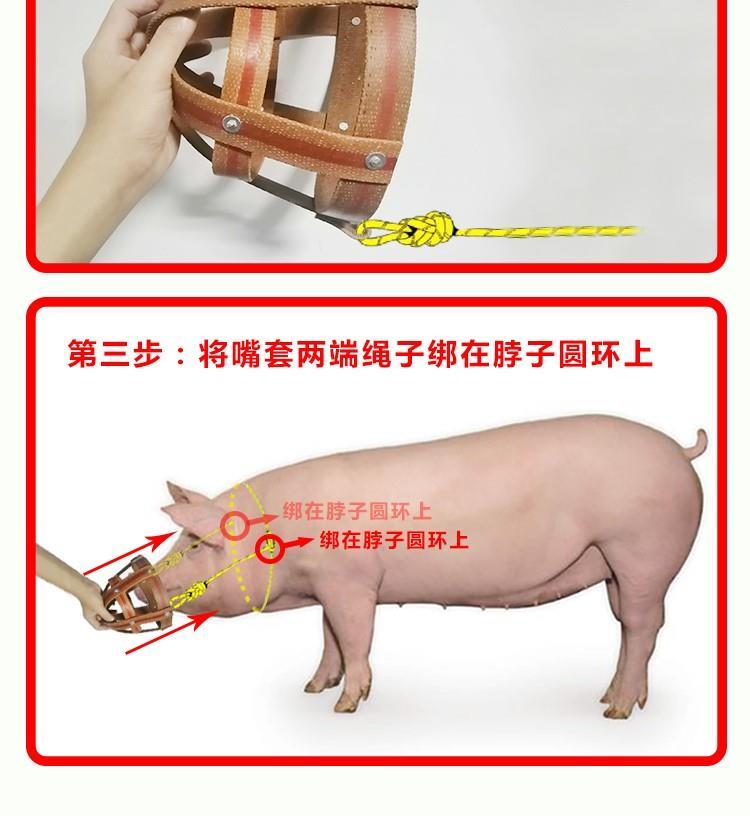 猪套嘴器使用教程图片