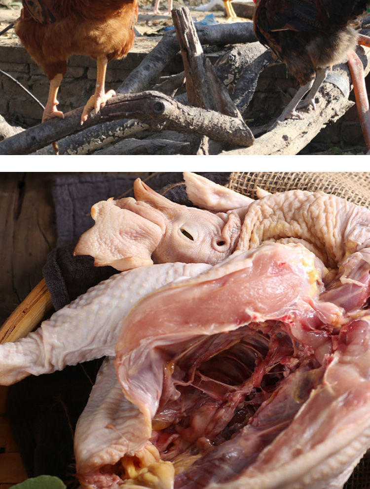 正宗黑脚土公鸡新鲜土鸡农家大公鸡走地鸡整只土鸡45斤45斤