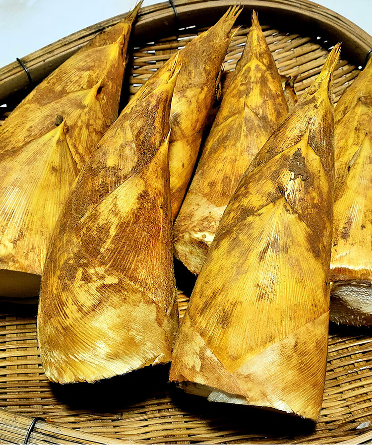 2021现挖新鲜冬笋四川野生带壳黄泥大冬笋楠毛竹笋春笋尖蔬菜5斤4kg