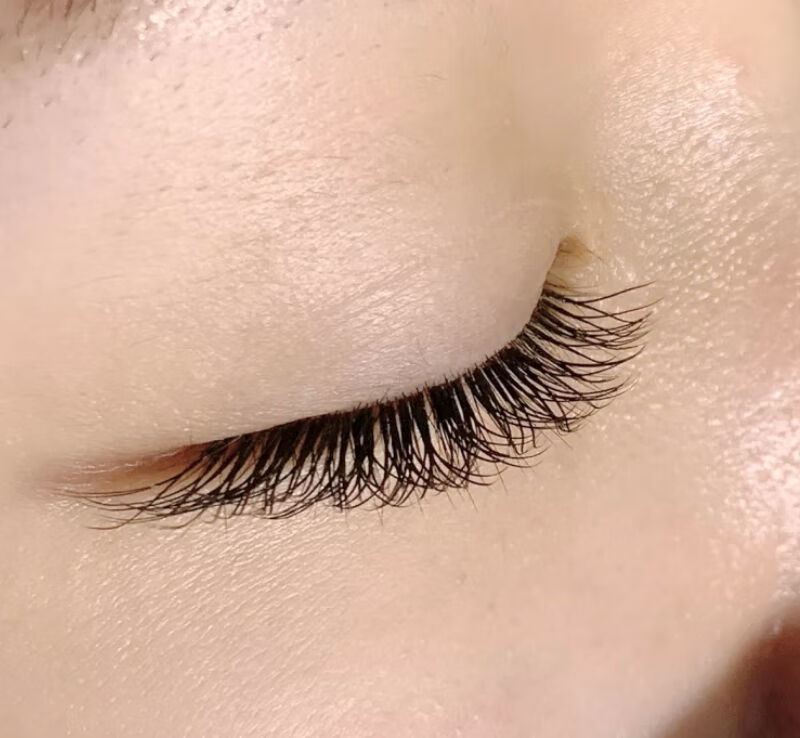 y型嫁接睫毛yy睫毛混搭y形爱情网状编织美睫店柔软超毛不散根网红