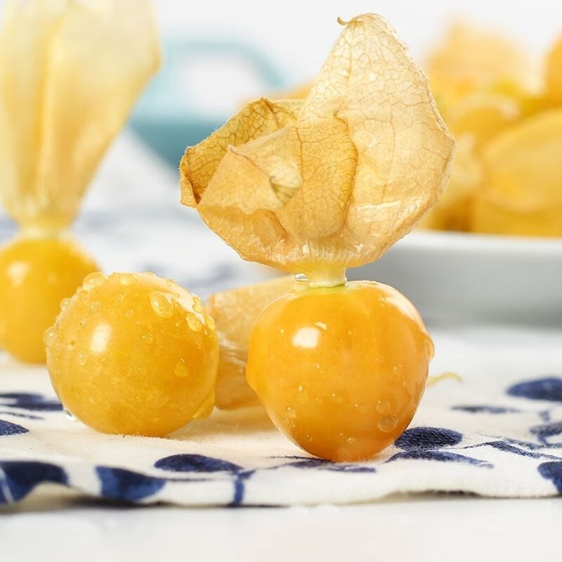 精选】姑娘果新鲜甜菇娘东北特产姑娘水果灯笼果当季水果新鲜姑鸟果