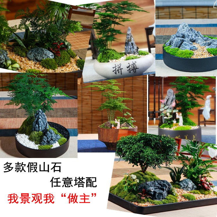 仿真造景石园艺小摆件微景观假山石家居装饰盆景鱼缸布景小石头2020款