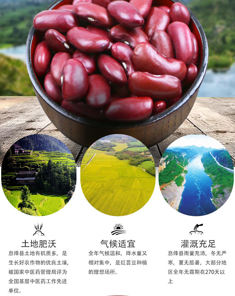 通特 新豆云南红腰豆大红豆红芸豆饭豆农家种植豆类杂粮煲粥煮汤 3斤