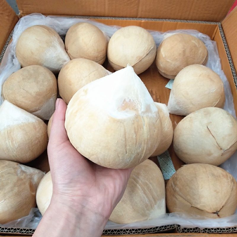 新鲜泰国进口椰皇大果泰国牛奶椰皇甜品店椰子鸡商用椰子椰青超大4个