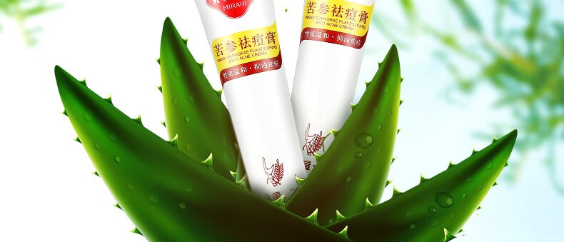 北京同仁堂苦参祛痘膏 祛痘痘去痘粉刺青春痘印净化减轻痘痘不适油痘