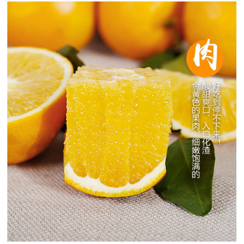 橙乡甜黄金橙正宗树上熟钻石橙水果17.