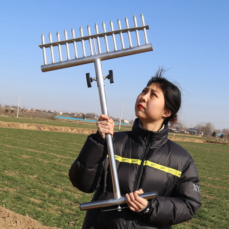 德骊嘉栽葱神器种葱叉子大葱移栽机器洋葱插葱工具打洞眼农用种菜打孔