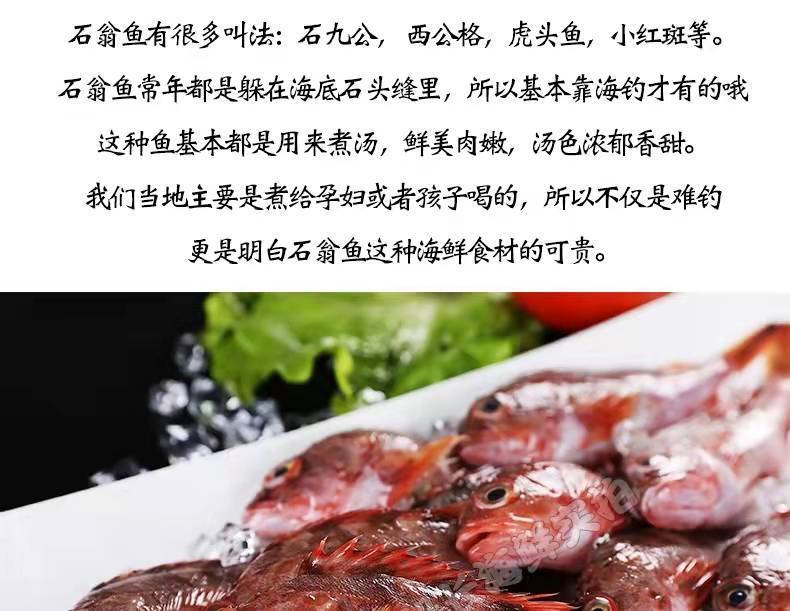 石九公鱼石翁鱼鲜活虎头鱼小红斑鱼石斑鱼鲜海鲜买2斤加1斤码头直发