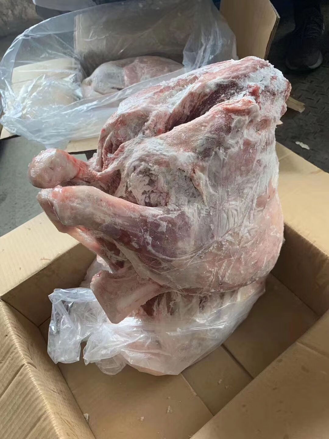 新鲜冷冻羔羊烤全羊羔羊全羊鲜冻白条羊10斤到25斤左右一只25斤左右