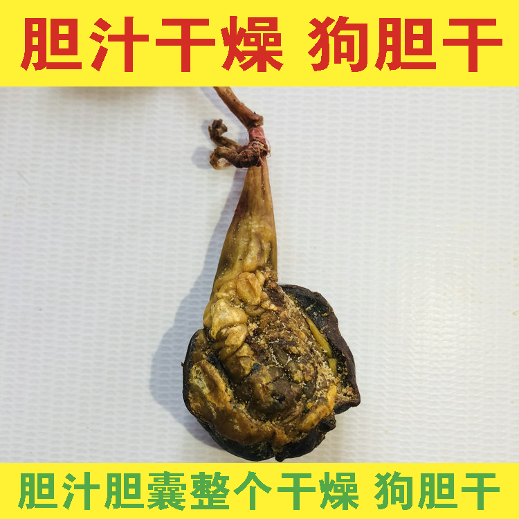 伟博犬胆干狗胆干干燥狗胆干狗胆汁狗胆囊整个干燥风干晾晒狗胆3枚