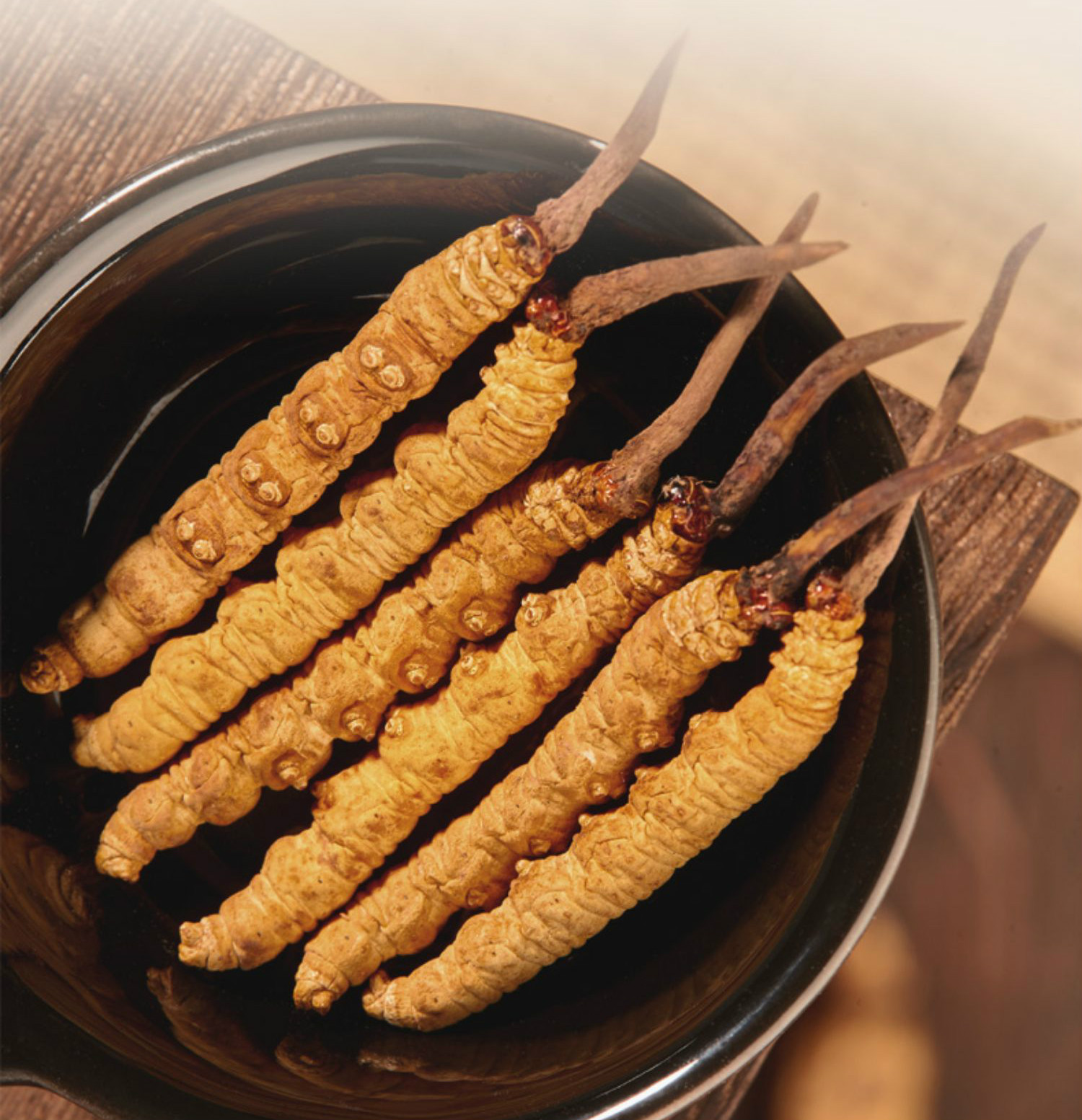 赛金司舒 秦仁堂 冬虫夏草短草头虫草5根1克断草干货10克礼盒 【甄选