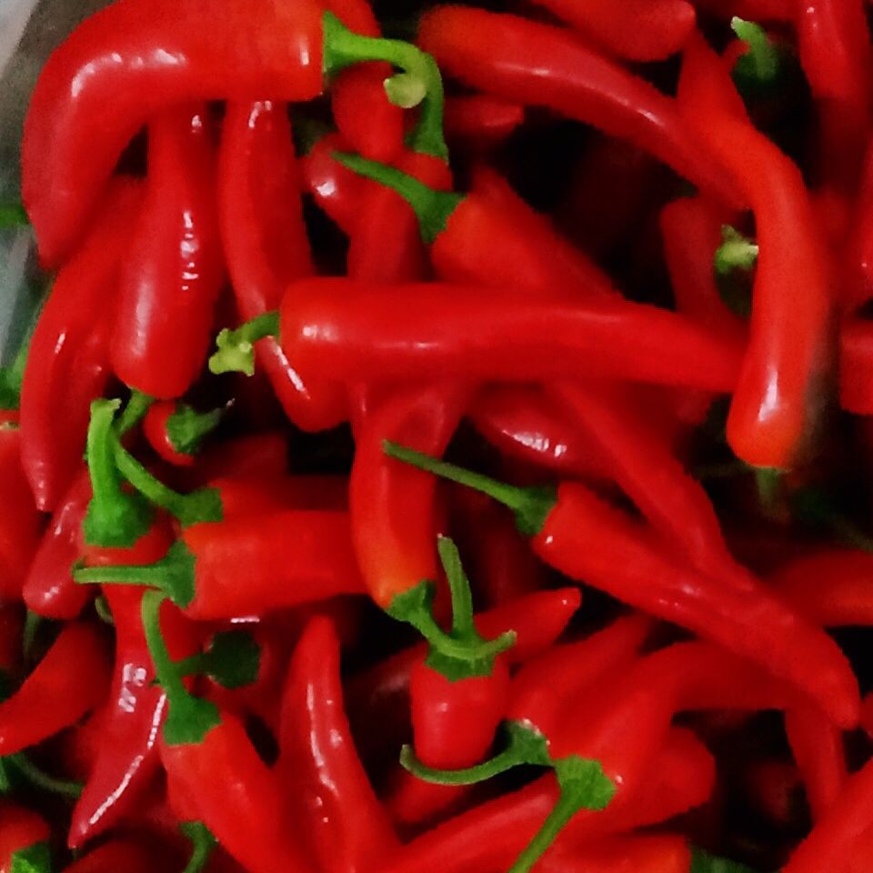 红辣椒新鲜特辣妹子美人椒薄皮大红色尖椒笨小辣椒青椒杭椒螺丝椒【8