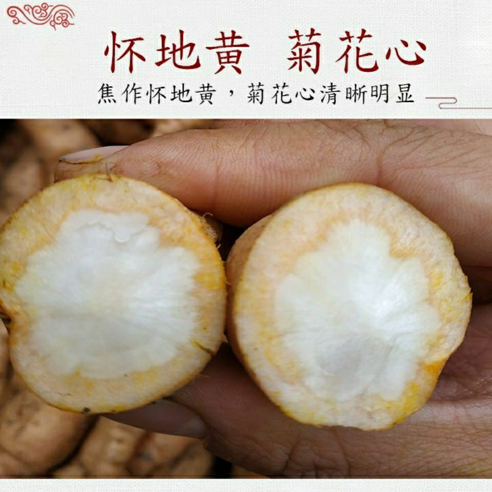 鲜地黄河南焦作怀地黄地黄根新鲜地黄种子生地黄现挖现发大个7到10个