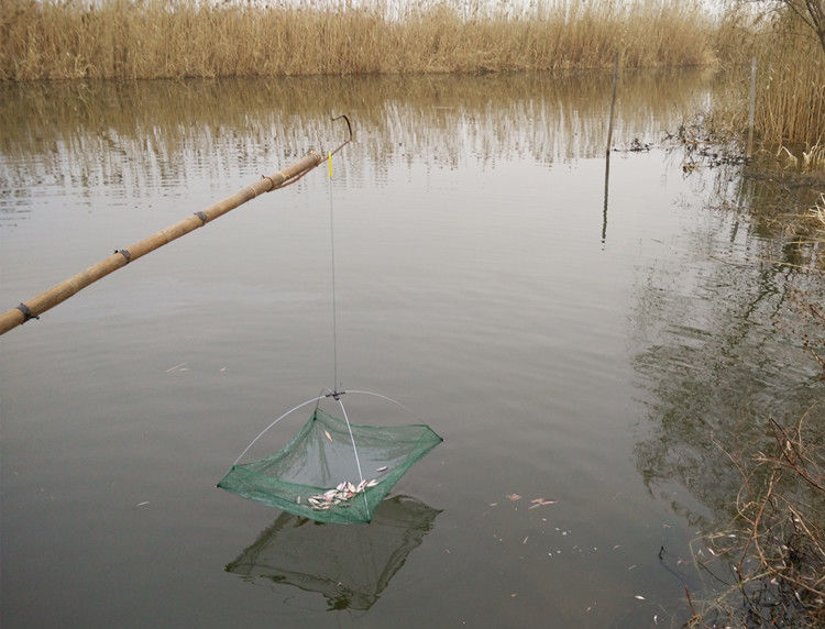 开放式折叠提网虾笼渔网捕虾网捕鱼网抓鱼网搬网搬筝网捕鱼工具06米1