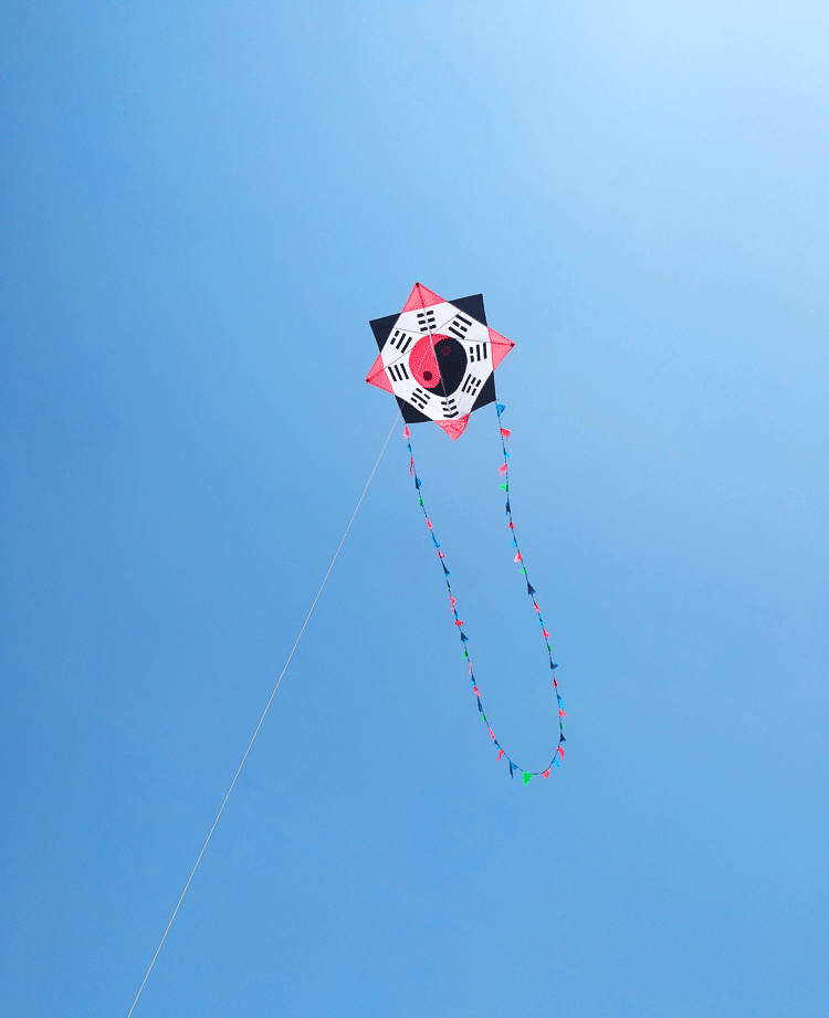 小鼎八卦风筝 太极八卦风筝 大型成人伞布树脂杆抗大风飘尾线轮套餐