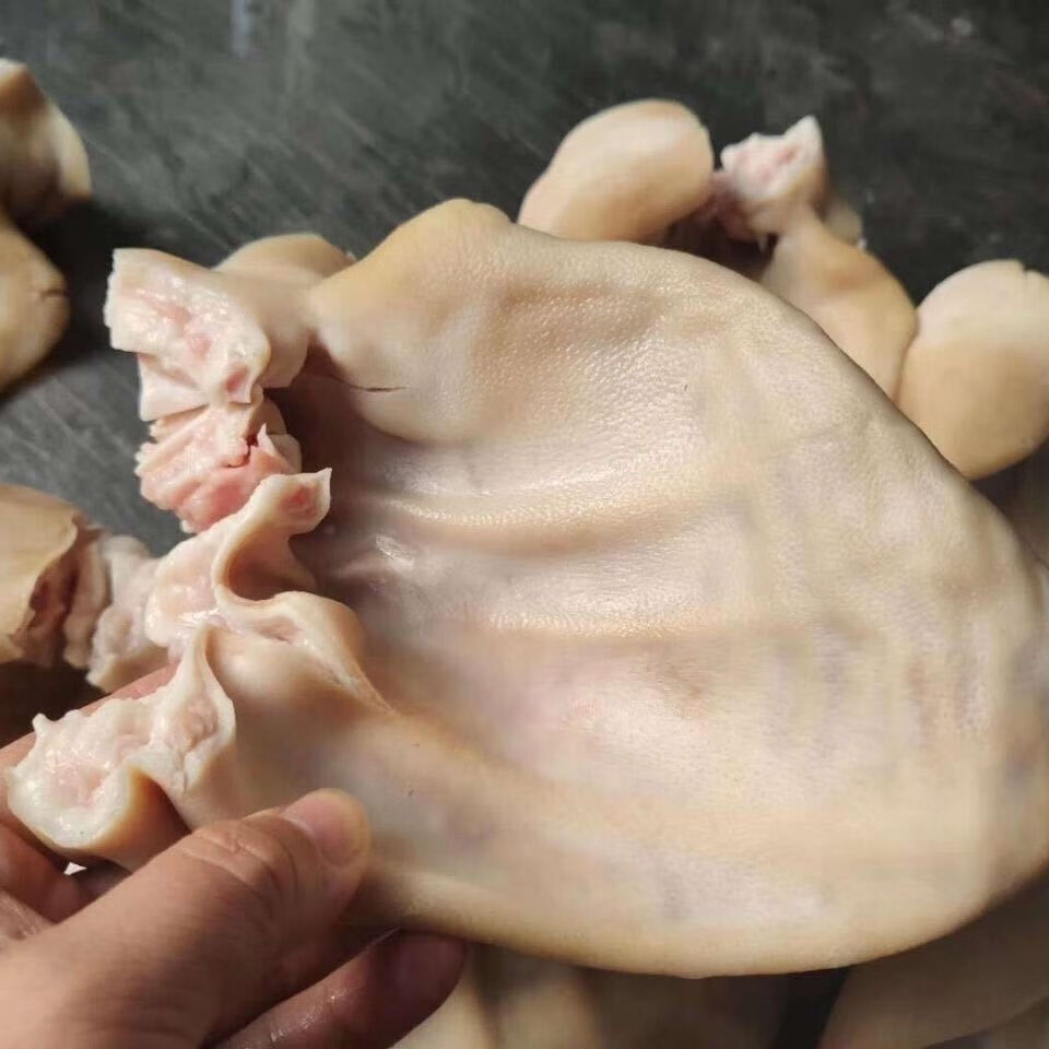 猪耳朵新鲜冷冻带根猪耳朵生猪耳朵毛重20斤每箱苏浙沪皖江苏安徽上海