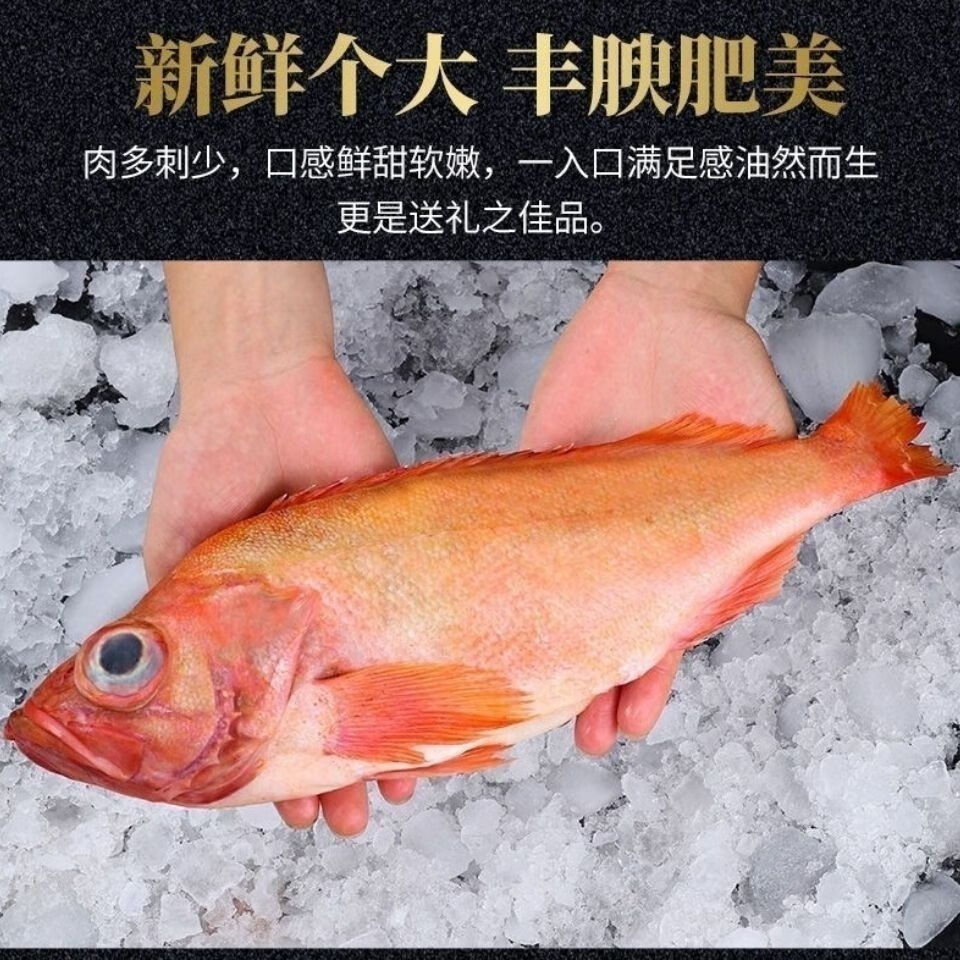 富贵鱼新鲜冷冻大眼鱼深海海鲜水产鲜活红鱼鲜琛觅5斤特惠装