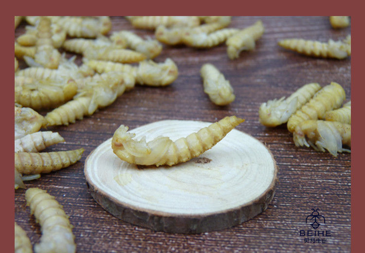 伟博大麦虫蛹新鲜冷冻昆虫高蛋白美食金粉虫蛹油炸烧烤美味虫子 一斤