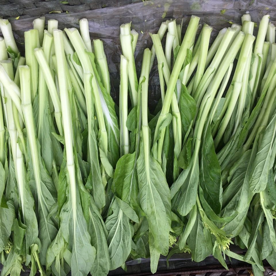 现摘现发白菜苔新鲜蔬菜时令爽口脆甜青菜叶类菜小白菜农家白菜苔现摘