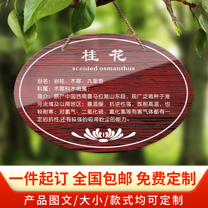 永恒主题 亚克力植树节树牌 植物挂牌 树木认养介绍标识 定制 学校