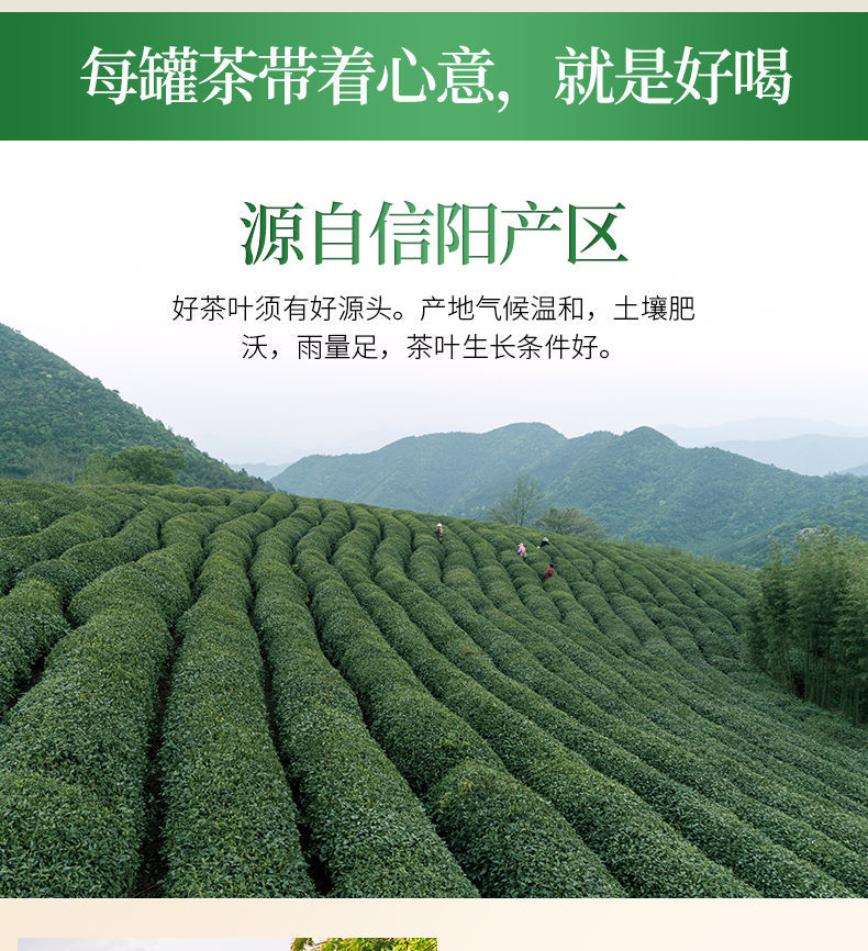 正宗信阳原产毛尖2022新茶特级aa绿茶明前嫩芽毛尖茶散装茶叶500g500g