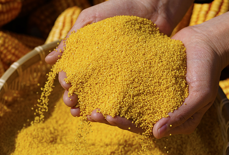 2021新米正宗山西小米沁州黄小米粥小黄米山西特产糯米脂杂粮5斤