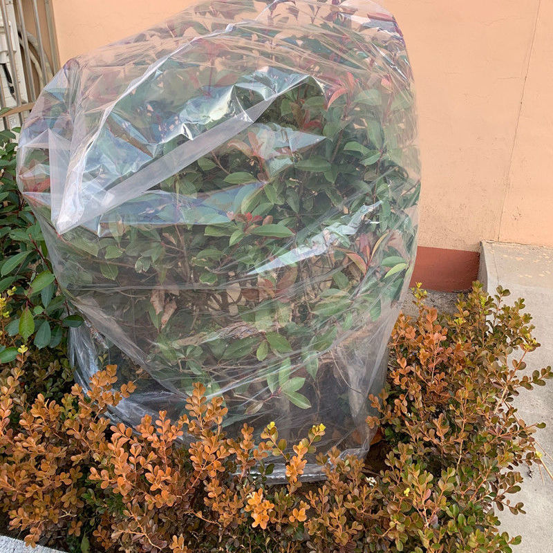 其六绿植物防冻保温袋塑料膜花卉盆栽过冬保护罩树木防寒布防尘袋透明