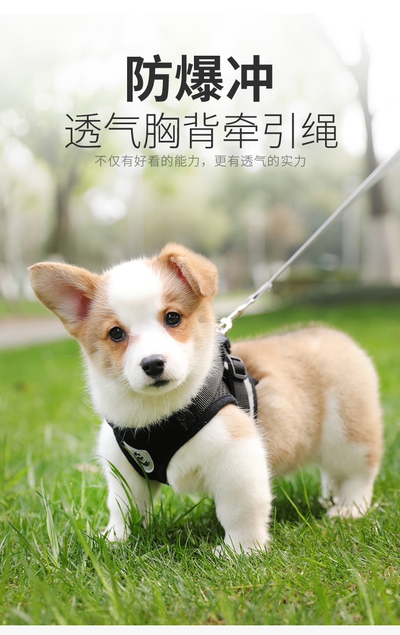 栓狗绳狗狗牵引绳狗链反光背心胸背带子狗绳子遛小型犬泰迪用品 黑色