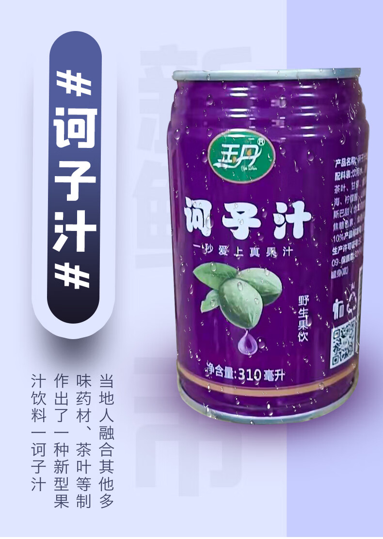 玉丹訶子汁310ml*6罐裝 雲南特產臨滄玉丹訶子汁飲品飲料滇園有限柯子