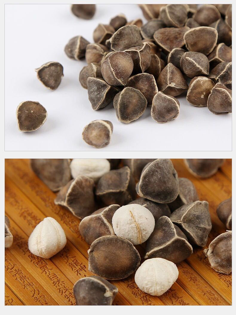 l辣木籽野生正宗辣木籽印度进口辣木子功效滋补养生原