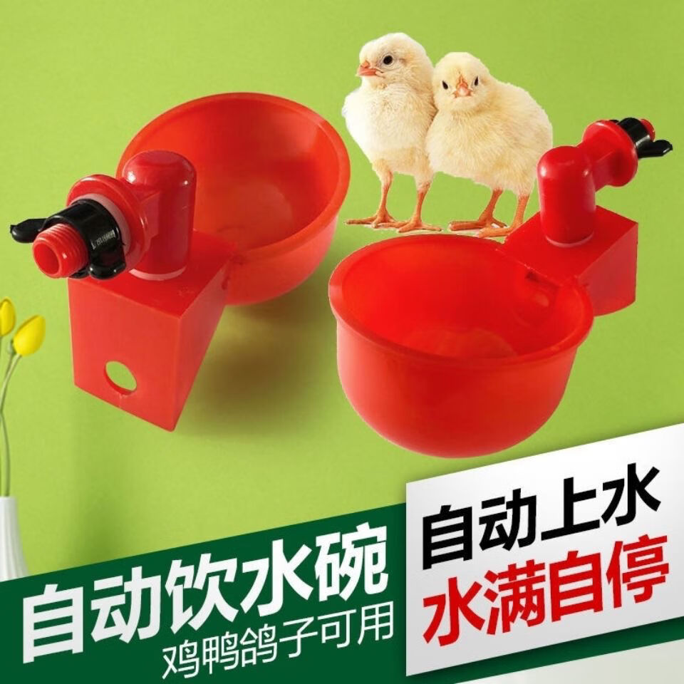惠利得鸡用饮水碗鸽子自动饮水器鹌鹑饮水碗小鸡雏鸡喝水碗鸡自动饮水