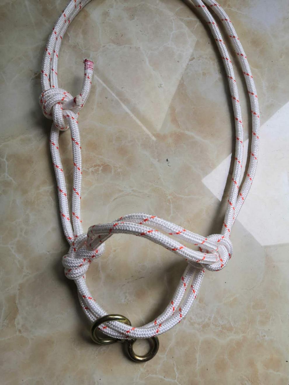 牛笼头套牛缰绳牛钢绳栓牛的绳子养牛场用套牛牛龙头手工1米牛脖套600