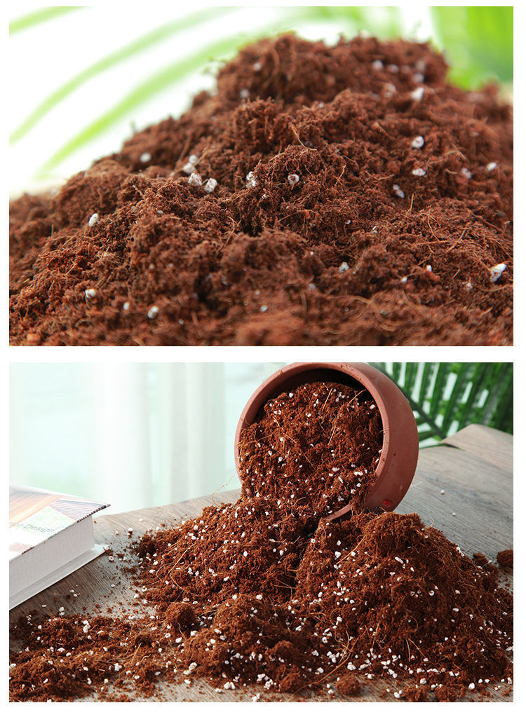 【精选现发】玉树专用土5kg玉树植物专用营养土通用型家用种植酸性