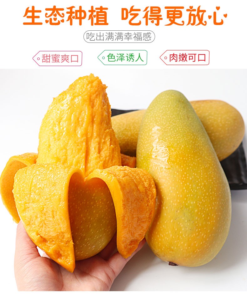 颜小荭海南金煌芒大芒果海南三亚水仙芒金皇芒新鲜水果859斤精选大果