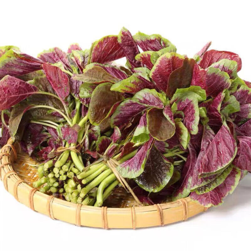【京鲜配送】农家自种新鲜红苋菜红米苋菜汗菜露天时令蔬菜青菜团购送
