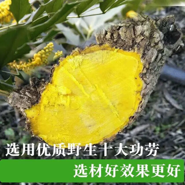 贵州深山野生十大功劳土黄莲刺黄连土黄柏中药材 1000克【图片 价格