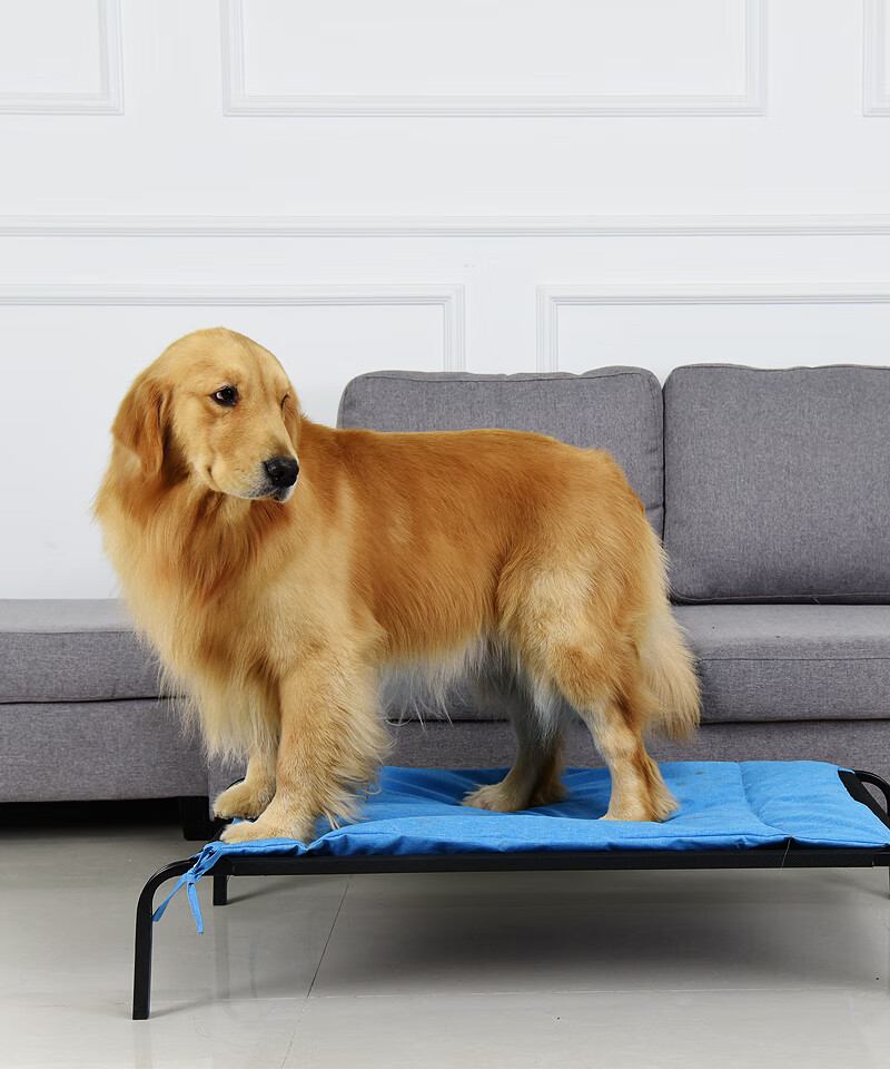 狗床铁宠物狗床行军床离地防潮湿猫狗窝保暖冬季可拆洗垫子大小型犬