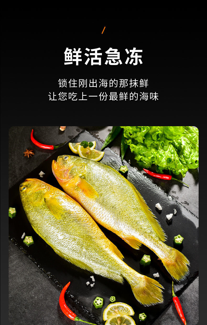 特大黄花鱼深海黄鱼新鲜现捕冷冻鲜活黄花鱼深海鱼海鲜2条真空包装无
