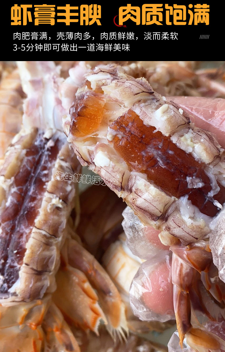 全母皮皮虾鲜活全膏带籽全虾爬子即食濑尿虾海鲜水产椒盐虾婆一斤